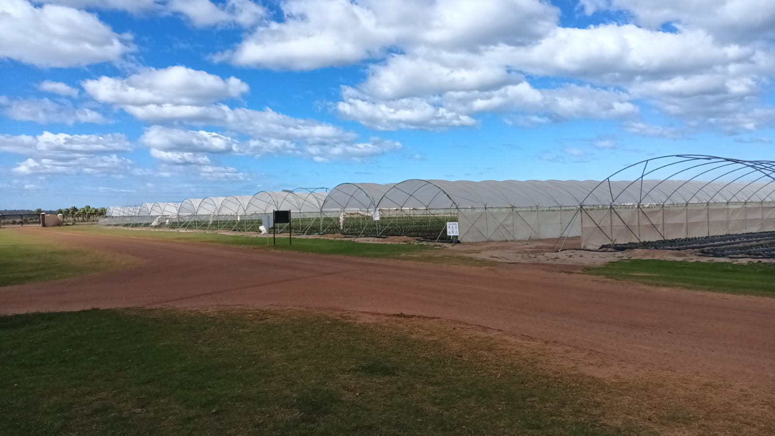 Karma Farms wide shot — Vento tunnel installation, Australia