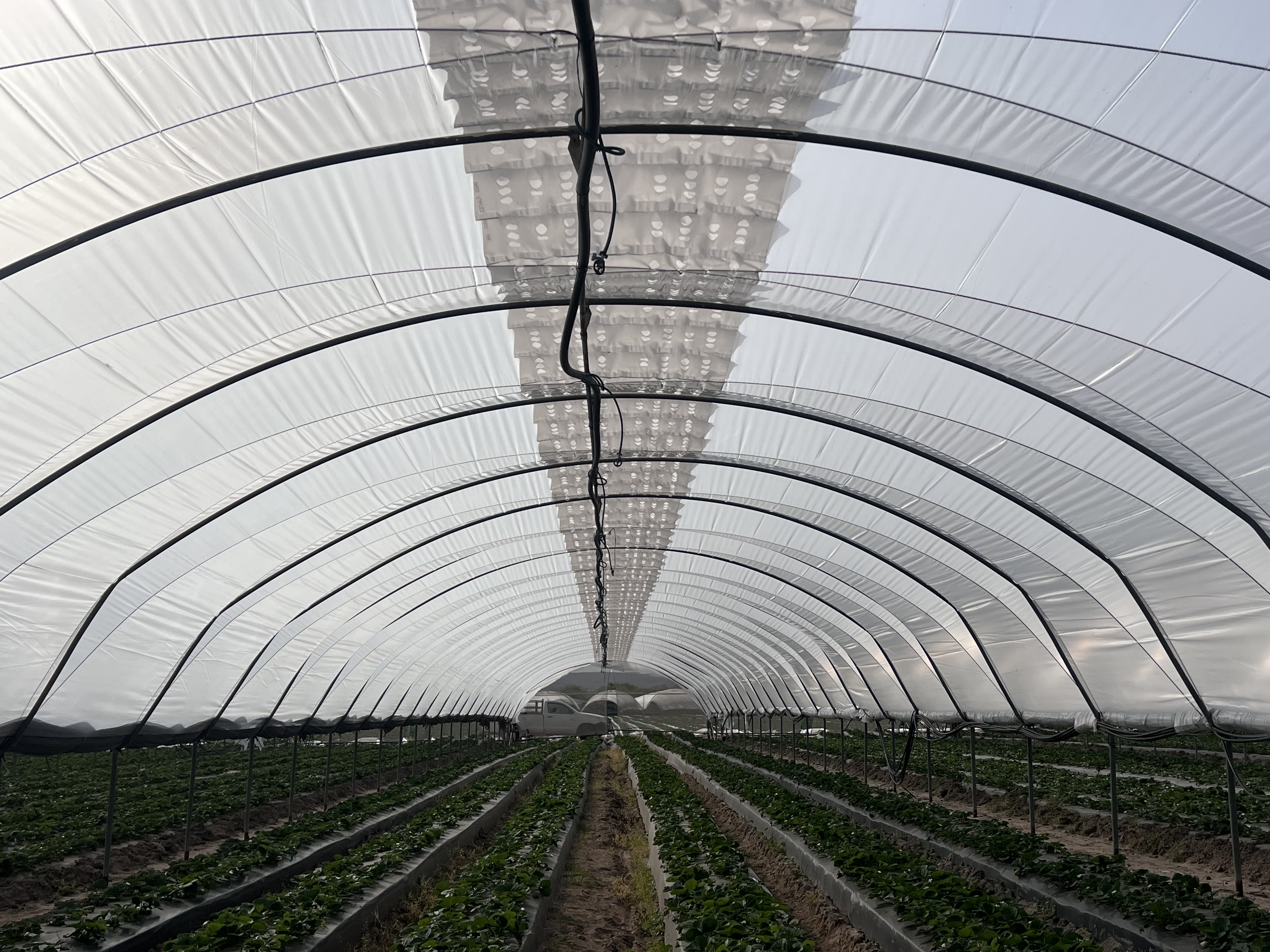 Vento tunnel interior — Australia