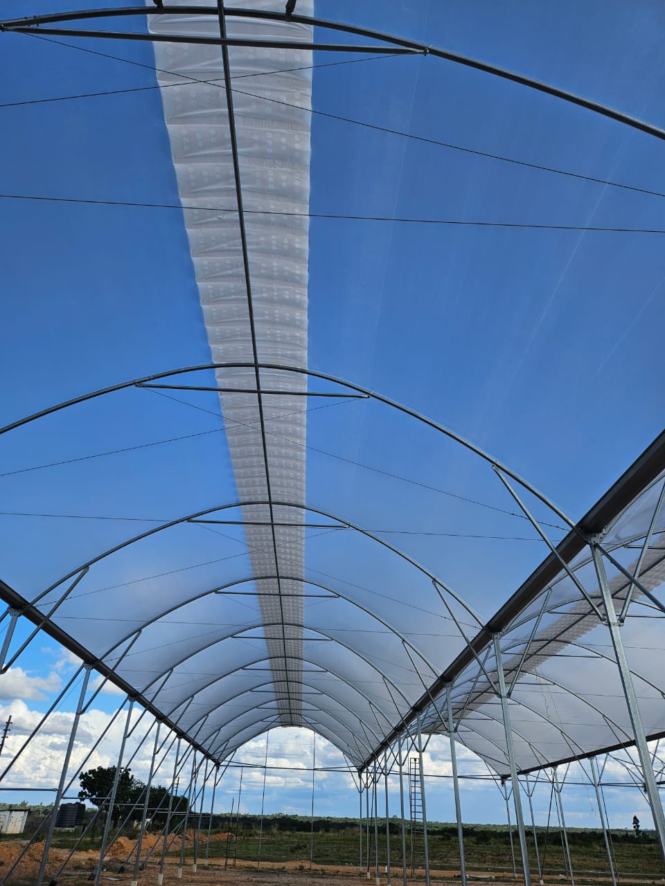 Looking up at the Vento apex ventilation strip — Zimbabwe